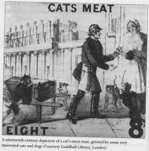 El “cat’s meat man” o vendedor de carne para gatos