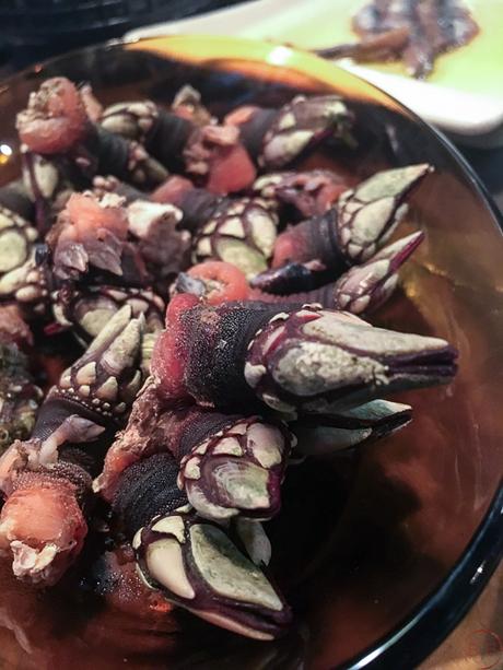 Chigre 1769: sidra y vermut, Catalunya y Asturias