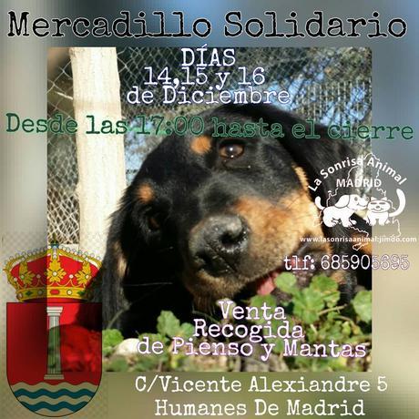 mercadillo sonrisa animal