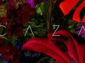 [Disco] Lecciones Vuelo Caza (2016)