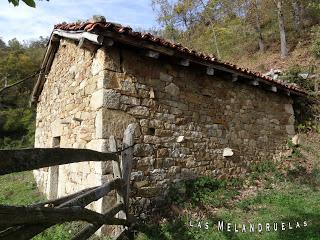 Bárzana-Salceo-Muriel.los-La Mortera el Teixu