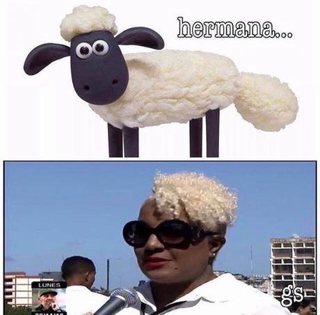 15284850_895672553902949_2239392741044577492_n