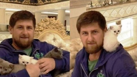 Aburrido? imágenes WTF