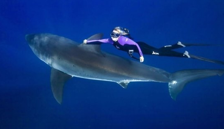 Aburrido? imágenes WTF