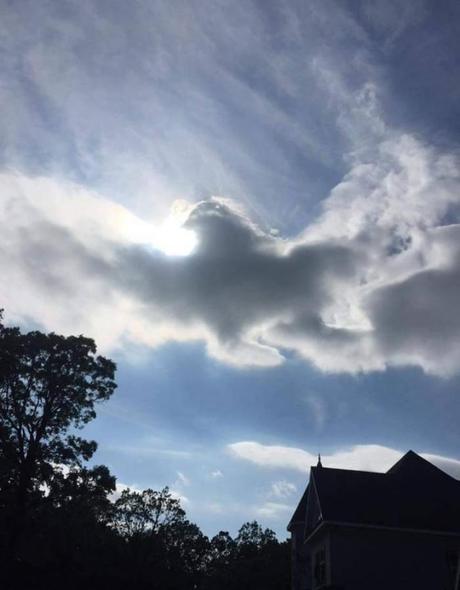 Aburrido? imágenes WTF