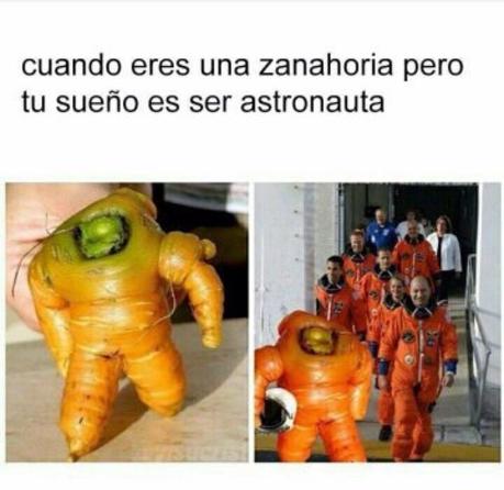 40 Imágenes graciosas que tenes que ver!