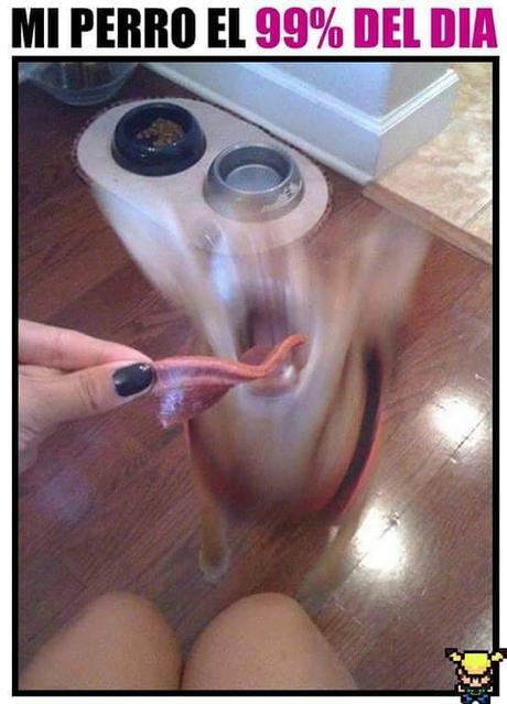 40 Imágenes graciosas que tenes que ver!