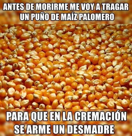 40 Imágenes graciosas que tenes que ver!