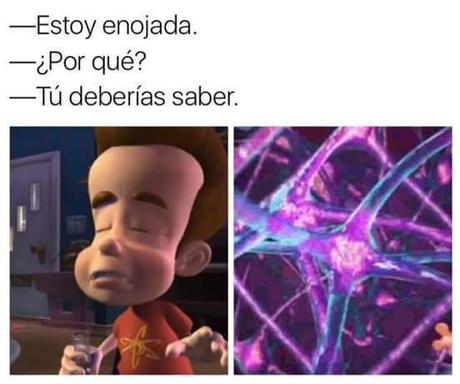 40 Imágenes graciosas que tenes que ver!