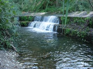 Un día en Actio en familia