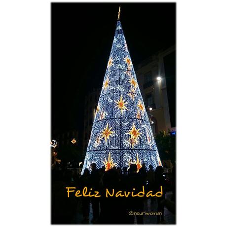 Volver por Navidad