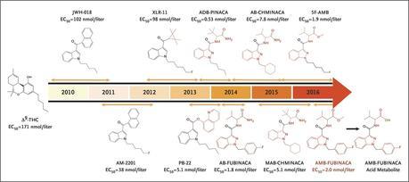 Evolution of Synthetic Cannabinoid Structures.