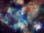 ✨Drama corazón tarántula