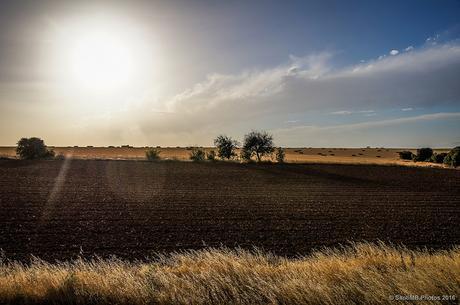 El tórrido sol del verano castellano