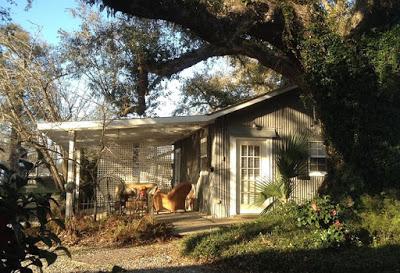 Pequeño Cottage Rustico en Missisippi