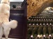 Imágenes CURIOSAS todos días encanta #26!