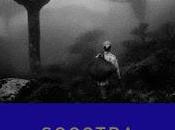 Navidades libro. Regalo