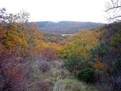 En otoño, más colores