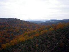 En otoño, más colores