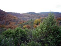 En otoño, más colores