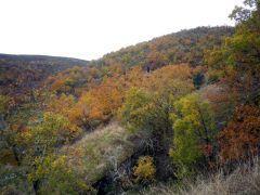 En otoño, más colores