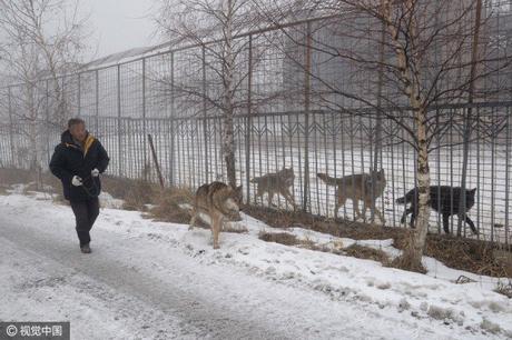 wild-wolf-valley-china4