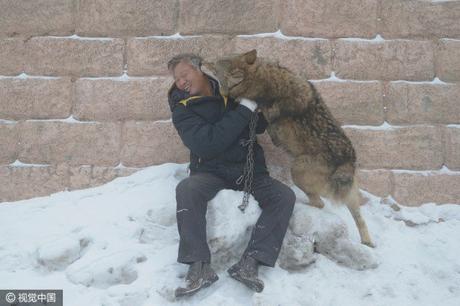 wild-wolf-valley-china