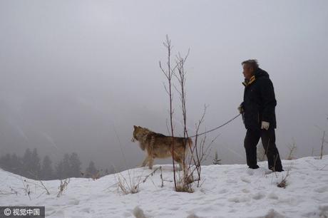 wild-wolf-valley-china3