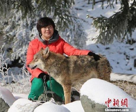 wild-wolf-valley-china5