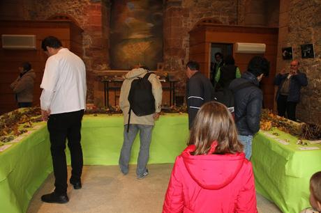 XV JORNADAS MICOLÓGICAS DE SIGÜENZA (PARTE II)