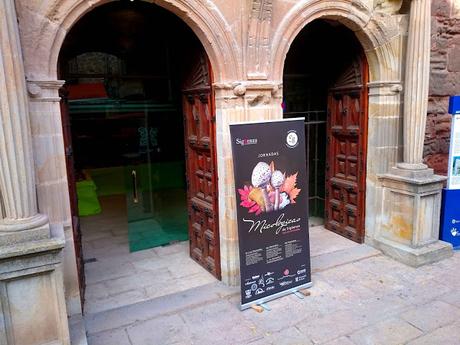 XV JORNADAS MICOLÓGICAS DE SIGÜENZA (PARTE II)