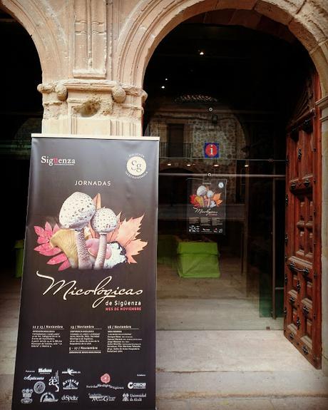 XV JORNADAS MICOLÓGICAS DE SIGÜENZA (PARTE II)