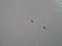 Tuneando mesas con pintura a la tiza.