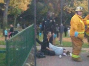Arbol Durante Boda, deja Muerto Heridos