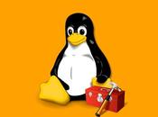 ¿Cómo funciona núcleo Linux?