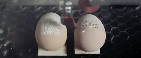 Nacho Vidal le echa un par de huevos en esta campaña a favor de los menores transexuales