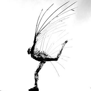 Álvaro García: Ícaro