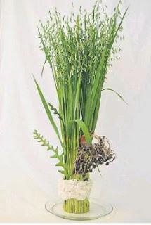 Técnicas para armar follajes ornamentales