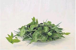 Técnicas para armar follajes ornamentales