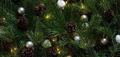 Purgatorio y Navidad