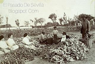 La cruz del humilladero de San Lázaro