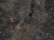 nebulosa oscura Lynd