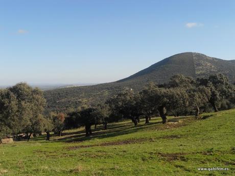 Ruta de los 12 Apóstoles 2016