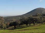 Ruta Apóstoles 2016