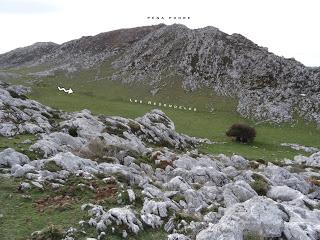 El Fresno la Col.lá-Pena Podre-El Gamoniteiru-Las Morteras