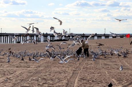 TRACKSUIT IN CONEY ISLAND