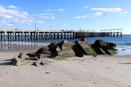 TRACKSUIT IN CONEY ISLAND
