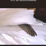 golondrinas-muertas-almohada-Libros-Prohibidos