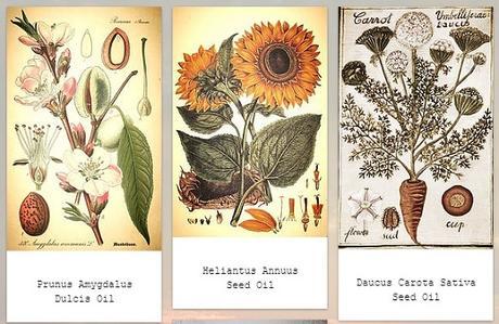 Exfoliante Corporal “Orange Time” de SKIN TAILORS