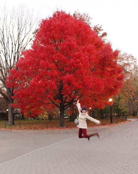 OTOÑO EN CENTRAL PARK